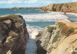 56-QUIBERON-N° 4392-D/0289 - Quiberon