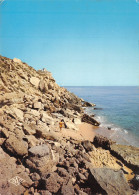 11-LEUCATE PLAGE-N° 4395-B/0011 - Leucate