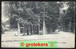 APELDOORN Loolaan Ca 1910  - Apeldoorn