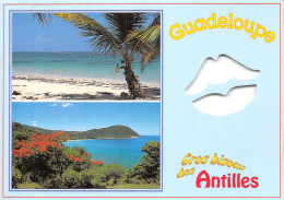 971-GUADELOUPE-N° 4399-D/0395 - Autres & Non Classés