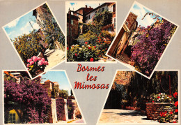 83-BORMES LES MIMOSAS-N° 4399-D/0061 - Bormes-les-Mimosas