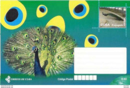 7660  Birds - Oiseaux - Peacocks - 2011 - Entier Postal Sta - Cb - 1,95 - Andere & Zonder Classificatie