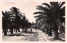 83-BANDOL SUR MER-N°T5075-H/0363 - Bandol