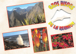 974-ILE DE LA REUNION-N° 4400-D/0137 - Andere & Zonder Classificatie