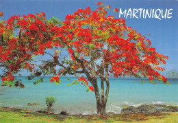 972-MARTINIQUE UN FLAMBOYANT-N° 4400-D/0133 - Sonstige & Ohne Zuordnung