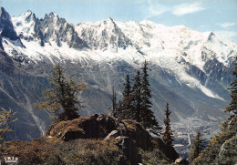 74-CHAMONIX MONT BLANC-N° 4401-A/0149 - Chamonix-Mont-Blanc