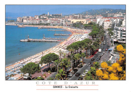 06-CANNES-N° 4402-C/0045 - Cannes