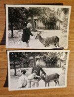 19304.  2 Fotografie D'epoca Uomo Bambini Cerbiatto Aa '50 - 9x6 - Autres & Non Classés