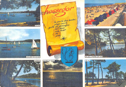 40-HOSSEGOR-N° 4403-A/0183 - Hossegor