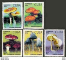633  Champignons - Mushrooms - 2002 - MNH - Cb - 1,75 . -- - Pilze