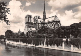 75-PARIS NOTRE DAME ET SQUARE DE L ARCHEVECHE-N° 4403-D/0253 - Other & Unclassified