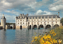 37-CHENONCEAUX LE CHATEAU-N° 4403-D/0101 - Chenonceaux