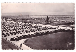 LE TOUQUET PARIS PLAGE   (carte Photo) - Le Touquet