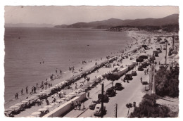 LE LAVANDOU La Plage La Pointe Du Gouron Et Le Cap Benat (carte Photo Animée) - Le Lavandou