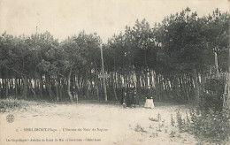 D7826 Merlimont Plage L'entrée Du Bois De Sapins - Altri & Non Classificati