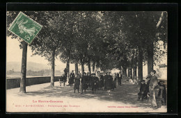 CPA St-Gaudens, Promenade Des Tilleuls  - Saint Gaudens