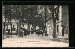 CPA Revel, Promenade, Avenue De Sorèze  - Revel