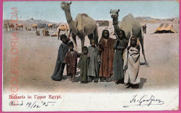 Ag2679 - EGYPT - VINTAGE POSTCARD  - Ethnic -  1905 - África