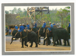 CPSM 10.5 X 15 Thaïlande (77) LAMPANG The Elephant In Group Are Starting To Work At The Forest In The Elephant Training* - Tailandia