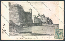 Roma Nettuno Cartolina ZB3102 - Autres & Non Classés