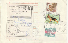 BOLLETTINO POSTALE -  ALB. - Colis-postaux