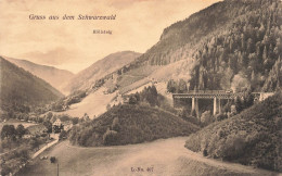 ALLEMAGNE - Gruss Aus Dem Schwarzwald - Höllsteig - Carte Postale Ancienne - Altri & Non Classificati