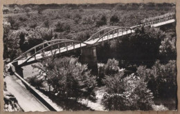 CPSM 83 - LE MUY - Pont De L'Argens - TB PLAN EDIFICE Route Cours D'eau - Le Muy