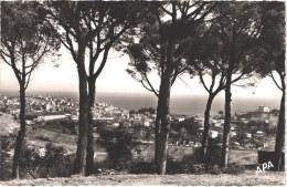 FR66 BANYULS SUR MER - APA 412 - Vue Générale à Travers Les Pins - Belle - Banyuls Sur Mer