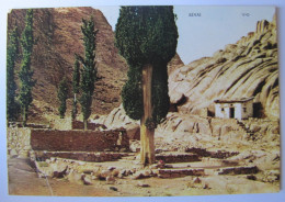 ISRAËL - SINAI - Israël