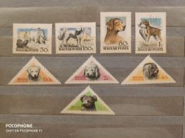 1956	Hungary	Dogs (F91) - Nuevos