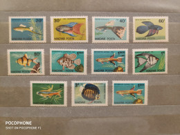 1962	Hungary	Fishes (F91) - Unused Stamps