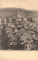 ALLEMAGNE - Neustadt Im Schwarzwald - Partie Mit Der Kirchen - Carte Postale Ancienne - Slovenië