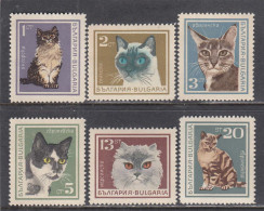 Bulgaria 1967 - Cats, Mi-Nr. 1717/22, MNH** - Ungebraucht