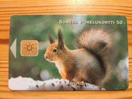 Phonecard Finland - Squirrel - Finnland