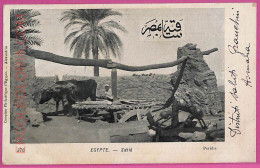 Ag2714 - EGYPT - VINTAGE POSTCARD  - Ethnic - Afrique