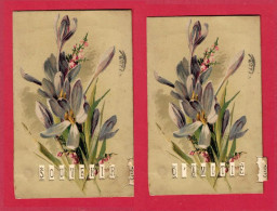 AF137 FANTAISIES FLEURS CROCUS ET BRUYERE ILLUSTRATEUR B RAABE PETIT SYTEME A TIRETTE SOUVENIR D'AMITIES ANNEE 1903 - Dreh- Und Zugkarten