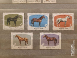 1985	Hungary	Horses (F91) - Unused Stamps