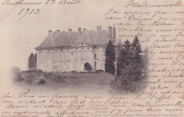 CHATEAU DE NEUBLANS   + CACHET AMBULANT DOLE A CHAGNY             PRECURSEUR - Autres & Non Classés