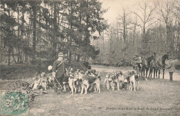 RAMBOUILLET : RENDEZ VOUS DANS LA FORET DE ST ARNOULD - Rambouillet