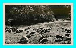 A805 / 061 40 - Au Pays Landais Pastorale ( Mouton ) - Otros & Sin Clasificación