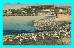 A805 / 141 06 - CANNES Mouettes Sur La Plage - Cannes