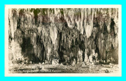 A805 / 257 NEW MEXICO The Kings Palace Carlsbad Cavern - Other & Unclassified