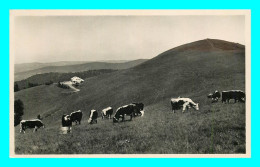 A809 / 587 88 - BUSSANG Le Drumont Et Table D'orientation ( Vache ) - Bussang