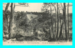 A806 / 215 72 - SAINT LEONARD DES BOIS Un Coin Des Ardoisieres - Saint Leonard Des Bois