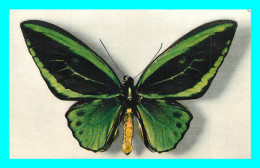 A806 / 495 PAPILLONS ORNITHOPTERA ARUANA Comité National De L'Enfance - Vlinders