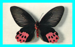 A806 / 493 PAPILLONS PAPILIO HORISHANUS Comité National De L'Enfance - Schmetterlinge