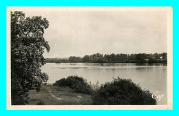 A808 / 099 58 - COSNE SUR LOIRE La Loire En Aval Du Grand Pont - Cosne Cours Sur Loire