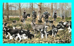 A806 / 167 CHASSE En Foret L'Hallali - Chasse à Courre - Chien - Jacht