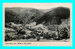 A810 / 425 SCHRAMBERG Blick Ins Bernecktal - Schramberg