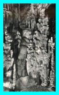 A810 / 493 48 - AVEN ARMAND Grottes Au Bord Du Gouffre - Autres & Non Classés